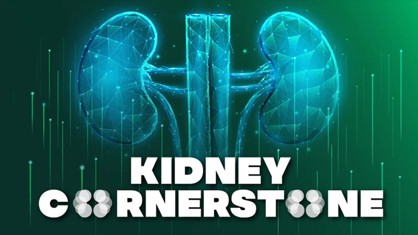 SIP-Kidney-image