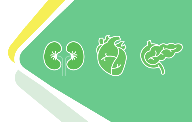 Meta Academy Express