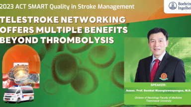 PC-TH-103751-thumbnail